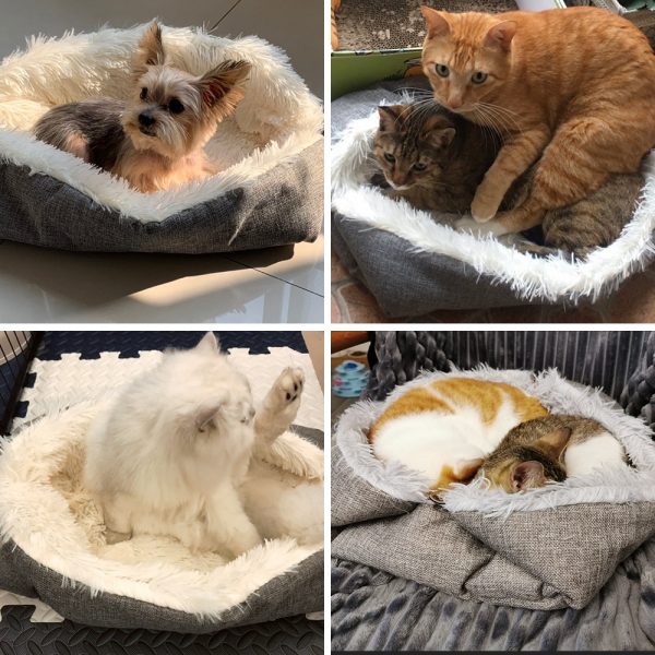 Foldable Washable Pet Dog Cat Sleeping House Nest Plush Pet Dog Bed Winter Warm Pets Bed Soft Mats House