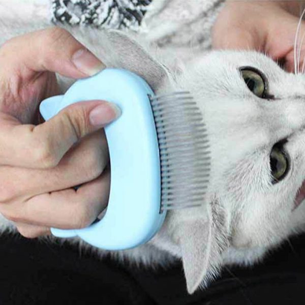 Pet Massage Brush Shell Shaped Handle Pet Grooming Massage Tool To Remove Loose Hairs Only For Cats New