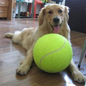 24CM Giant Tennis Ball For Dog Chew Toy Big Inflatable Tennis Ball Pet Dog Interactive Toys Pet Supplies Outdoor Cricket Dog Toy